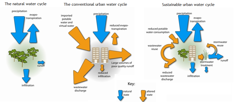 HEALTHY WATERWAYS 2011
